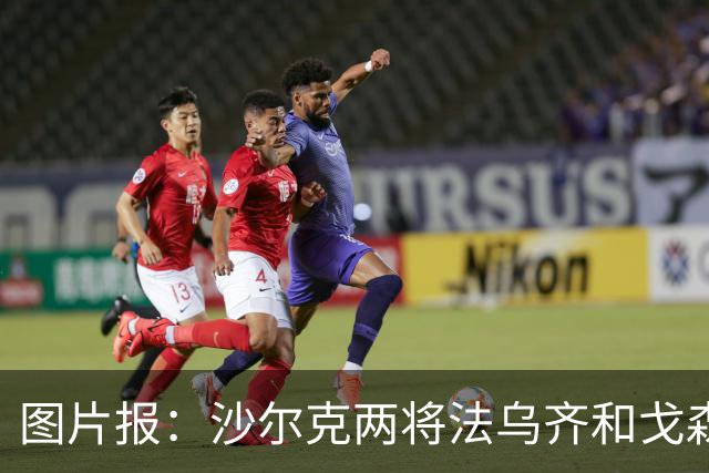 图片报：沙尔克两将法乌齐&戈森斯严重撞伤，将缺席杯赛
